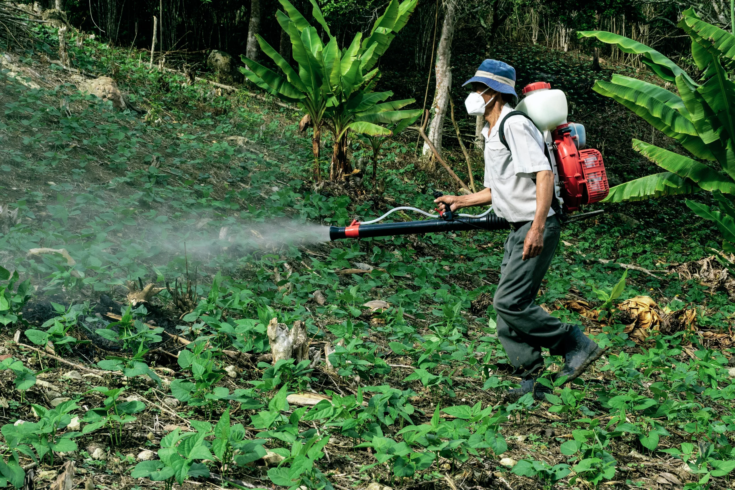 Bayer Triumphs: Legal Victory in Roundup Cancer Lawsuit