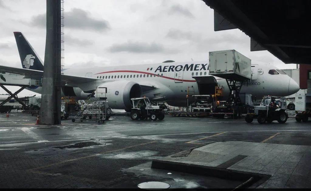 Aeromexico Passenger Opens Airline Emergency Door | Walked Out On A Wing