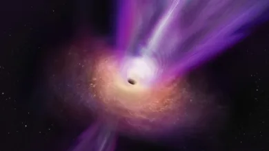 New Insights Revealed: M87 Black Hole Shadow Persisting One Year Later