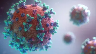 China's Secret GX_P2V Virus Experiment Revealed! Deadly Mutant Strain Sparks Global Panic
