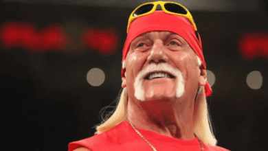 Hulk Hogan, Heroic Rescue, Tampa Crash