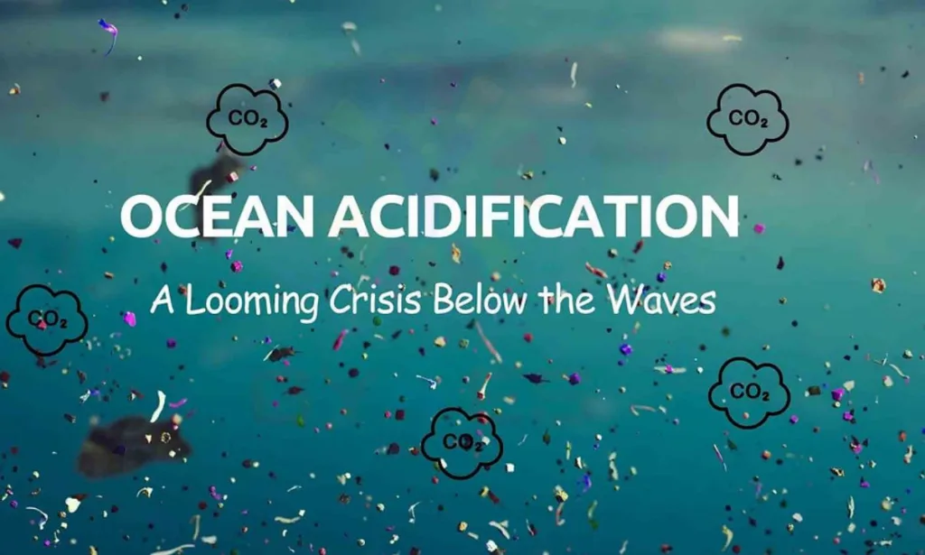 Southern Ocean's Silent Screams : The Looming Acidification Catastrophe