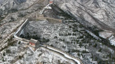 Living Armor: How Nature's Blanket is Protecting the Great Wall of China