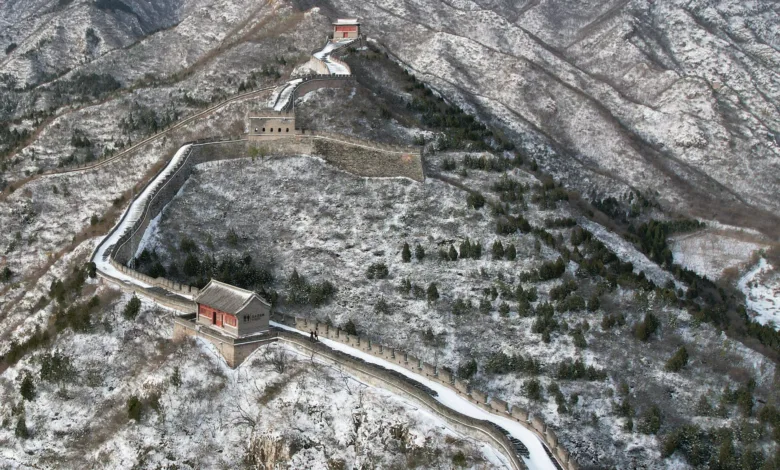 Living Armor: How Nature's Blanket is Protecting the Great Wall of China