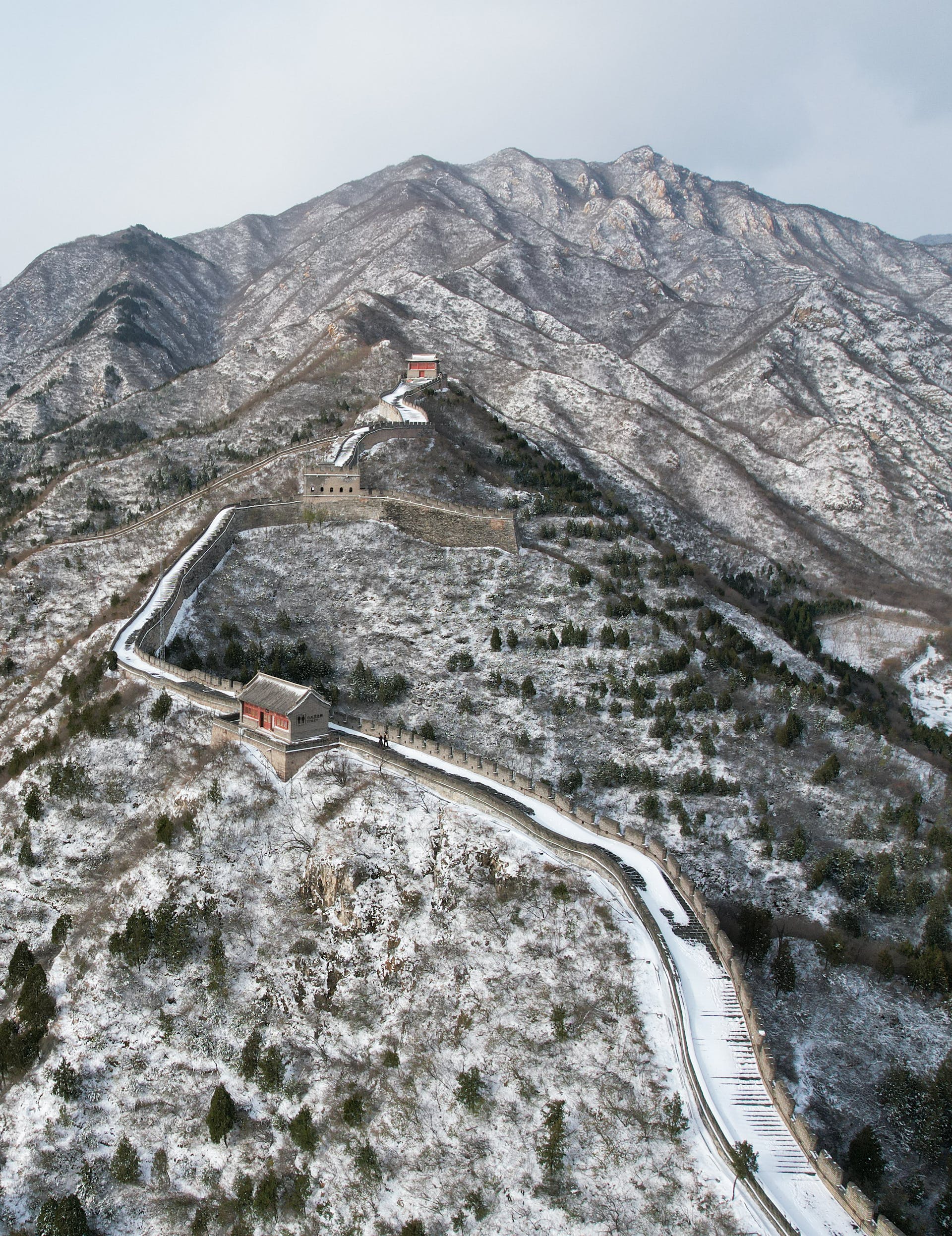 Living Armor: How Nature's Blanket is Protecting the Great Wall of China