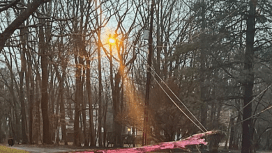 Post-Storm, Power Outages, Restoration Efforts