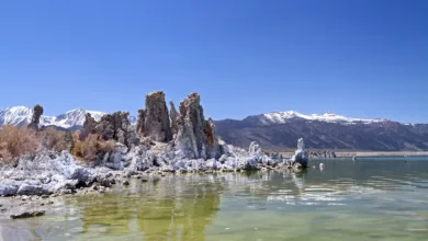 Soda Lake the Cradle of Life | Unraveling the Mystery of Life's Origins