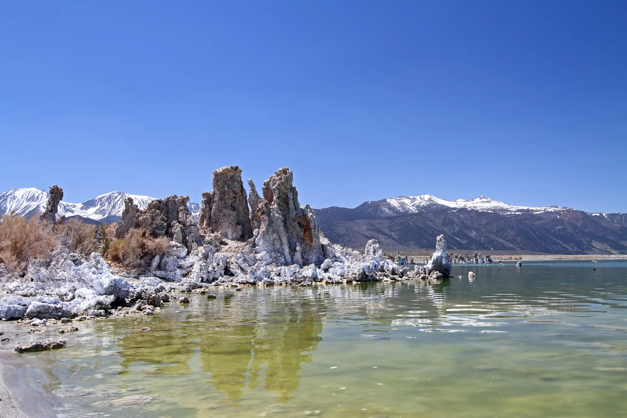 Soda Lake the Cradle of Life | Unraveling the Mystery of Life's Origins