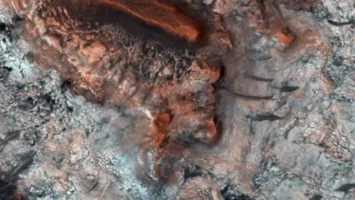 Unlocking Life on Mars: Idaho Fossils Hold Key Clues