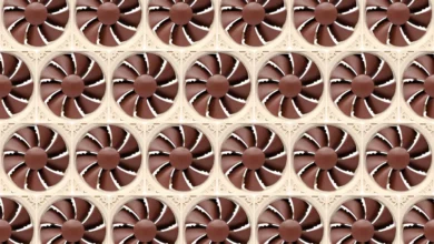 The Future of Noctua: A Deep Dive into their Color Palette Strategy