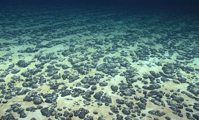 Discovery of Dark Oxygen: Unveiling a New Paradigm in Deep-Sea Biogeochemistry