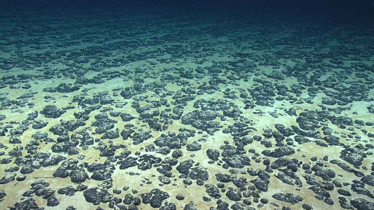 Discovery of Dark Oxygen: Unveiling a New Paradigm in Deep-Sea Biogeochemistry