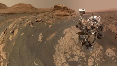 NASA’s Curiosity Rover Found Pure Sulfur Crystals : Mars’ Hidden Treasures