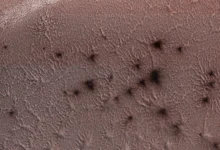 Scientists Finally Reveal the Truth of Mars' Spiders on Mars’ Surface