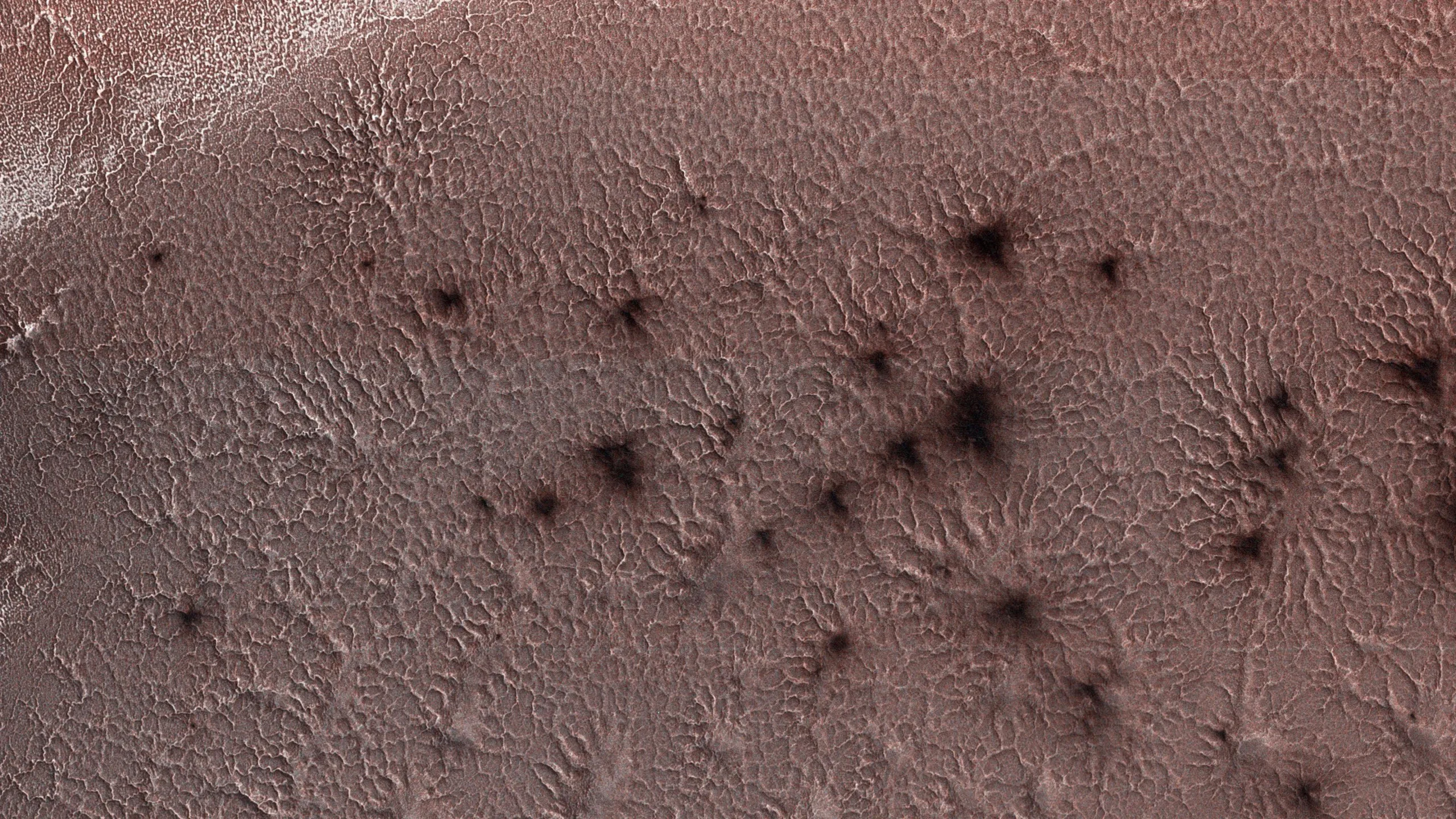 Scientists Finally Reveal the Truth of Mars' Spiders on Mars’ Surface